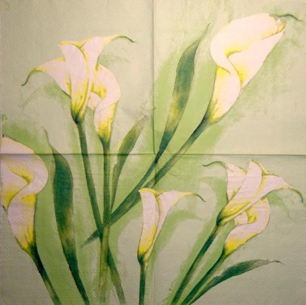 019 Calla - 3-lagig (grün) - Ihr